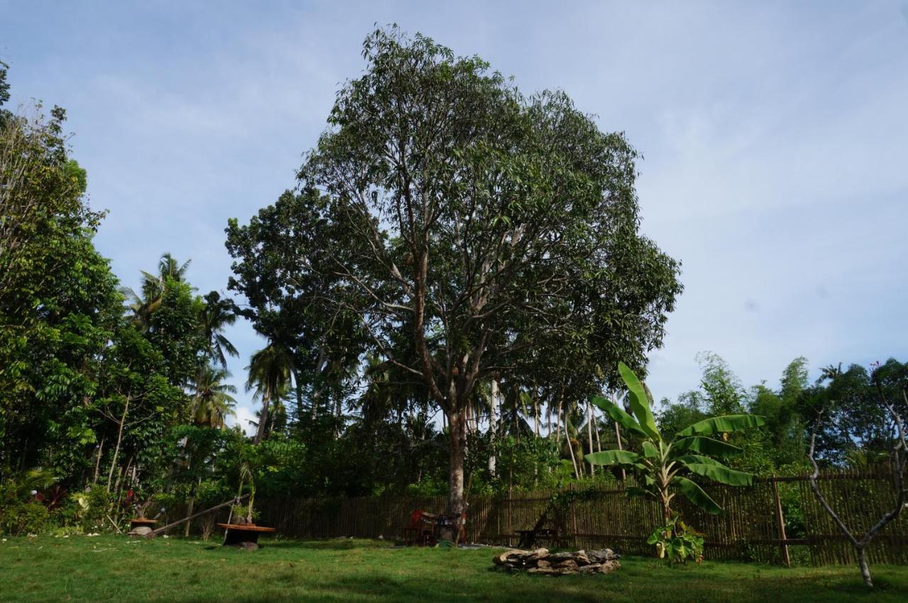 Peaceland Hostel Panglao Εξωτερικό φωτογραφία